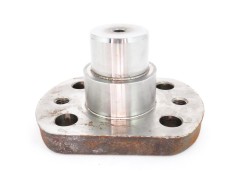 Akšen bolcna gornja