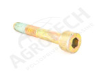 Vijak M8x1.25x55